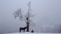 Ogled filma Kdo bo potrkal na vrata mojega doma
