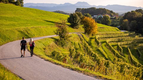 mestni-vrh-motiv-10-foto-bostjanselinsek_tz-ptuj-sep2019-lowres
