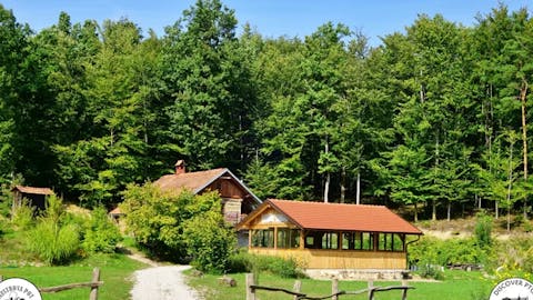 mustrova-pot-2-haloze-foto-crtomirrosic-tzptuj-lowres