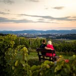 mestni-vrh-motiv-18-foto-bostjanselinsek_tz-ptuj-sep2019-lowres