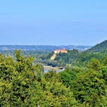 mustrova-pot-11-haloze-foto-crtomirrosic-tzptuj-lowres