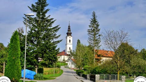 mustrova-pot-17-haloze-foto-crtomirrosic-tzptuj