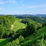 mustrova-pot-16-haloze-foto-crtomirrosic-tzptuj-lowres