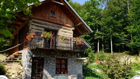 mustrova-pot-1-haloze-foto-crtomirrosic-tzptuj-lowres