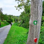 mustrova-pot-5-haloze-foto-crtomirrosic-tzptuj-lowres