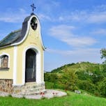 mustrova-pot-8-haloze-foto-crtomirrosic-tzptuj