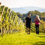 mestni-vrh-motiv-5-foto-bostjanselinsek_tz-ptuj-sep2019-lowres