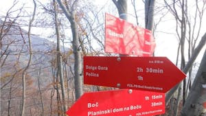 25. pohod po vinskih goricah na Boč