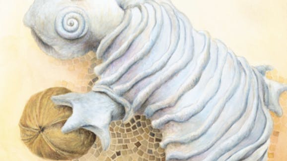 Alenka Spacal in Bajalka: »Me ne zanima!«