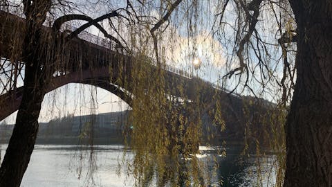 Sprehod po poteh užitnih dreves Maribora