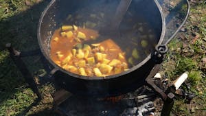 Kuhanje krompirjevega golaža in kostanjev piknik