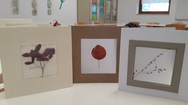 20191123_132758-scaled