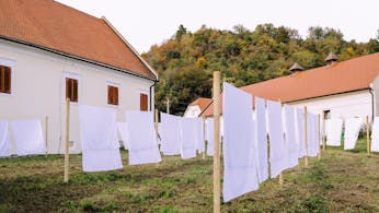 Arhitekturno-umetniški intervenciji za Račji dvor