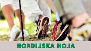 Nordijska hoja