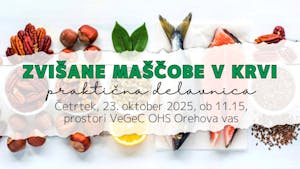 Delavnica " Zvišane maščobe v krvi"