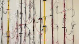 Polona Maher / Vrvež