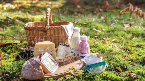 Farm Selinšek articles