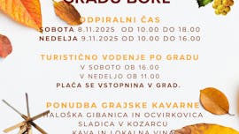 Martinovanje na gradu Borl