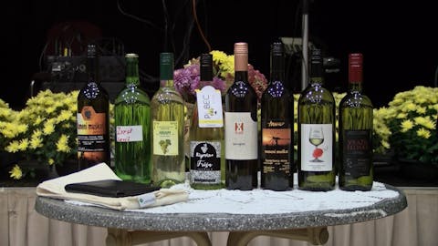 (PO)Martinovanje v Kamnici