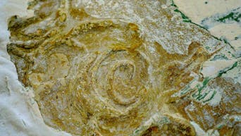 BoNBoNJERA, Otvoritev prenovljene E2RD Galerije