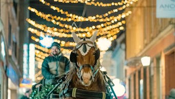 Popelji se s kočijo po Čarobnem Mariboru