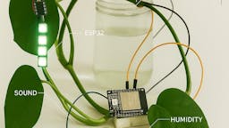 KIBLIX 2025 | Monika Pocrnjić: Epipremnum Aureum Machina Transcendens