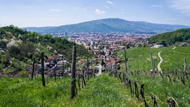 MOJE MESTO: Razstava Teodorja Veingerla