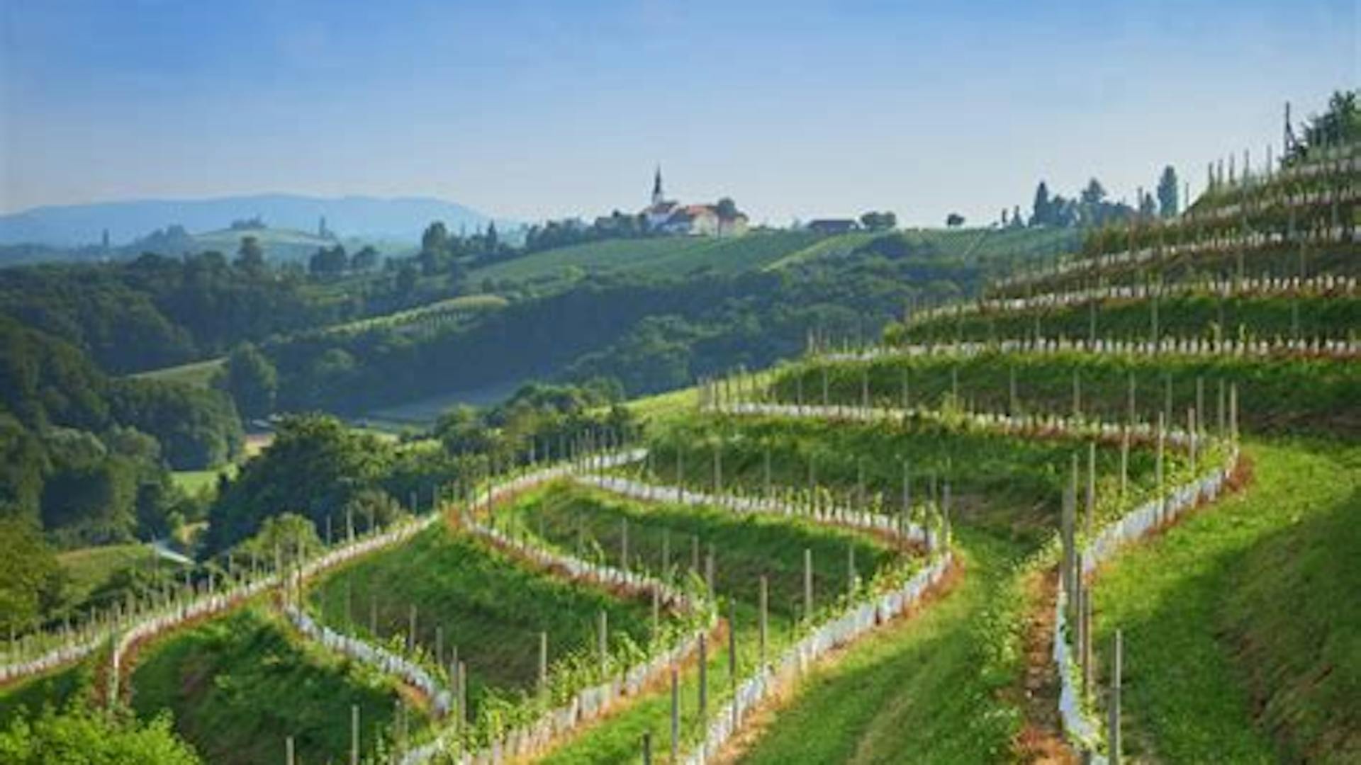 Jeruzalemsko-Ormoške gorice Landscape Park