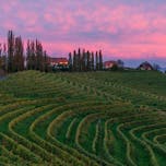 Jeruzalemsko-Ormoške gorice Landscape Park