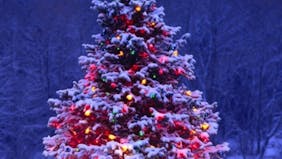 OKRASITEV BOŽIČNEGA DREVESA