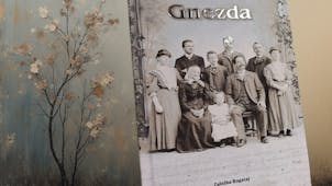 PREBRANKE: Pogovor ob knjigi Jerneje Ferlež Gnezda