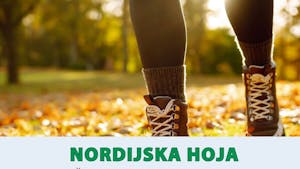 Nordijska hoja