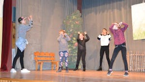 OTROŠKA GLEDALIŠKA PREDSTAVA: PEPELKA IN ŠKRAT