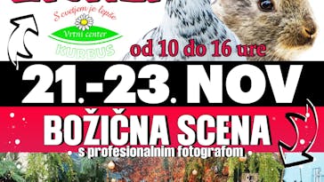 Meddruštvena razstava malih pasemskih živali