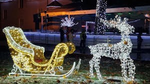 Hoduljar z modelirnimi baloni in obrazne poslikave