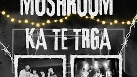 Koncert: POTATO MUSHROOM in KA TE TRGA