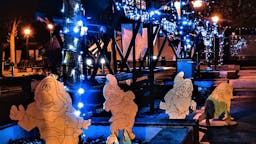 11043_1608287357_pmpravljinilikipalki2_e