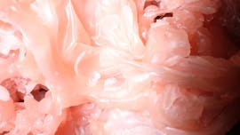 Razstava Urške Preis: Voda, Ogenj, Zemlja, Bol