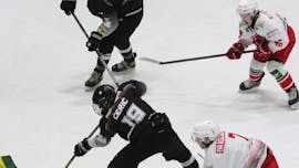 Lisjaki spet lovijo točke na domačem ledu