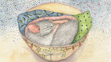 Nina Šulin: Svet, poln drobnih čudežev