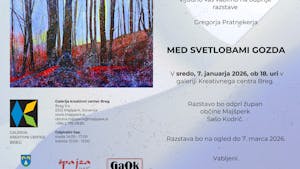 Razstava MED SVETLOBAMI GOZDA
