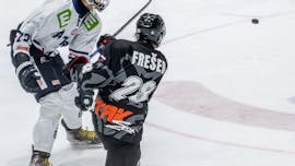 Lisjaki spet lovijo točke na domačem ledu