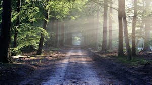 Predavanje: Pacifiška grebenska pot