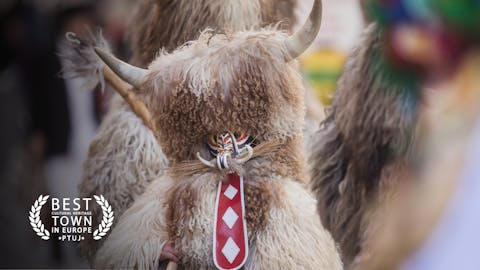 Dan kurentovih in korantovih skupin