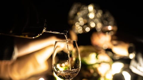 VINSKA DEGUSTACIJA V TEMI