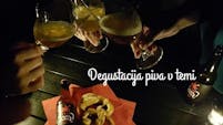 PIVSKA DEGUSTACIJA V TEMI