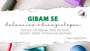 Gibam se - delavnica s kineziologom