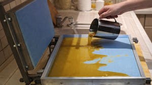 Pregled vlivanja satnic