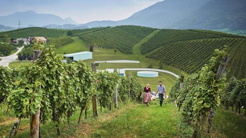 zlati-gric-foto-tomo-jesenicnik2