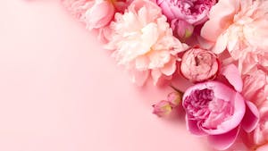 MATERINSKI DAN - BRUNCH V PRIMUSU